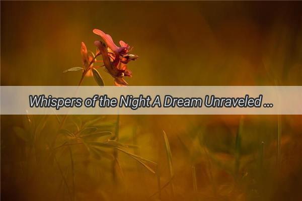 Whispers of the Night A Dream Unraveled as Grandpas Guilt Lurks in Shadows